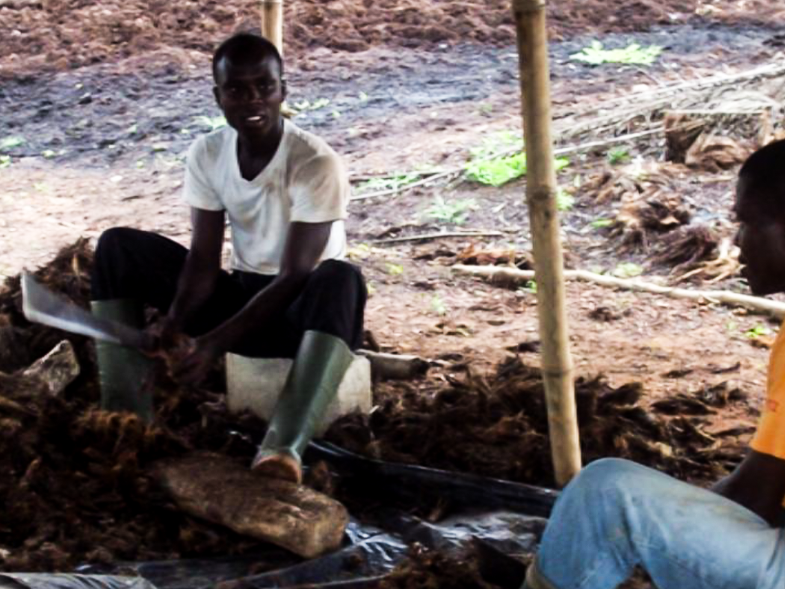 Image agroécologie